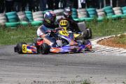 20110501_ales_agnus (3170)